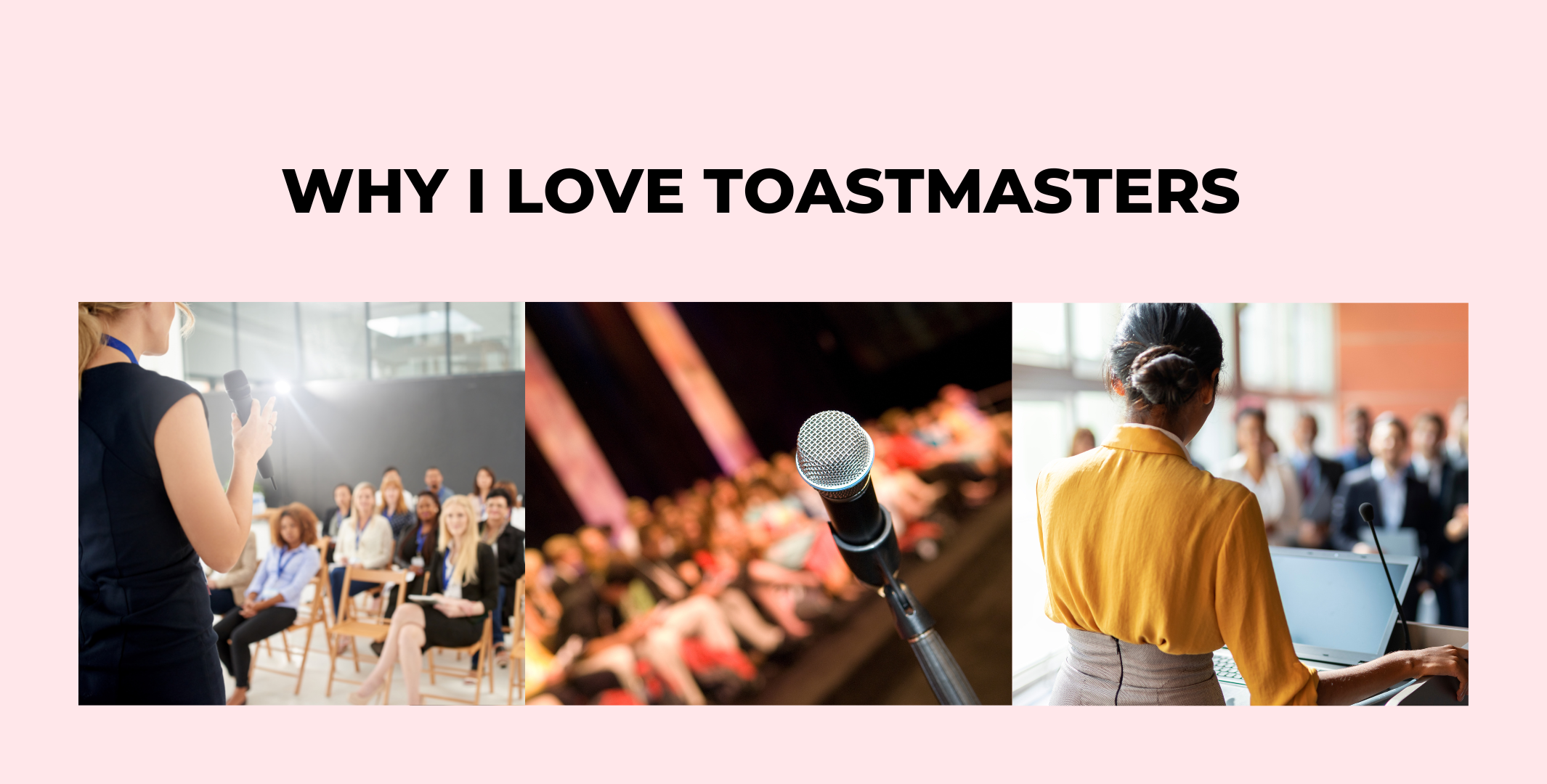 Toastmasters why love toastmasters
